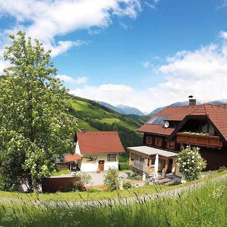 Sportbauernhof - Gasthaus Hochalmblick Krems in Kaernten Kültér fotó